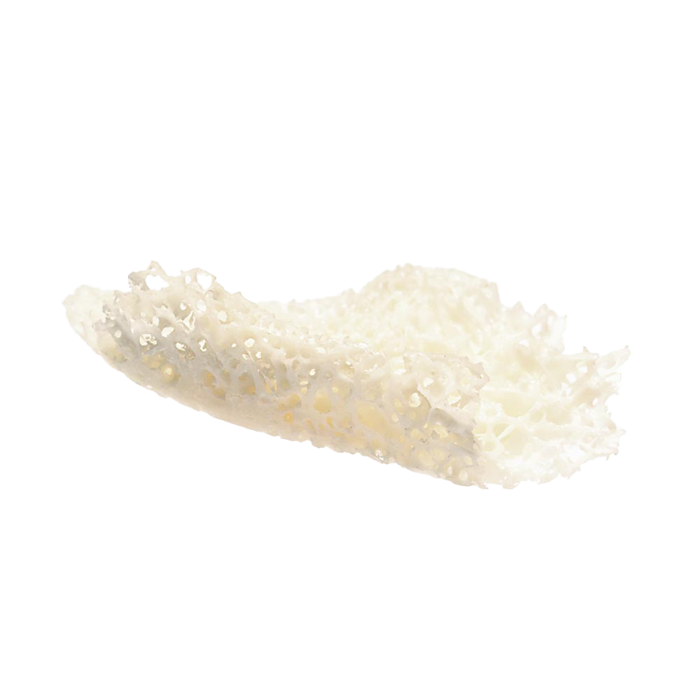 maxgraft® bonebuilder