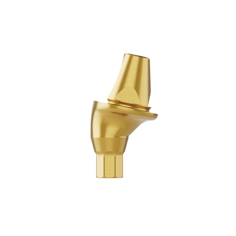 AXA Abutment